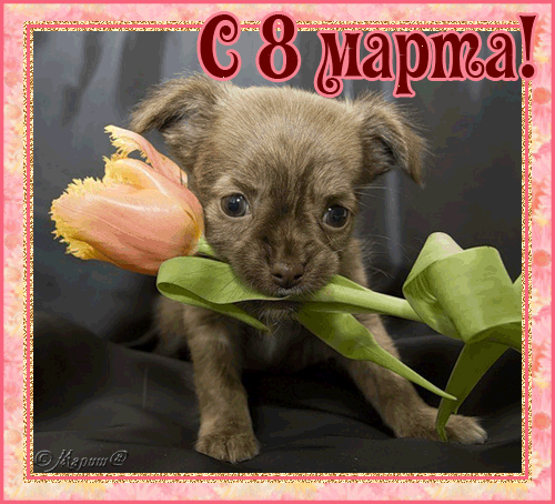 Картинка 72 из 323853