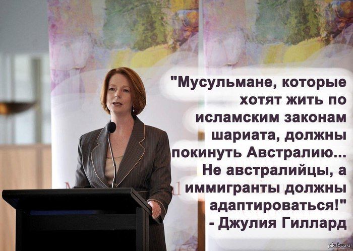 Австралийцы негодуют Вот бы у нас такое заявили... Политика