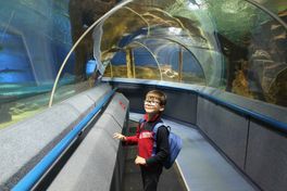 6-7 лет. Куча фоток))) 6-7 лет. Куча фоток)))