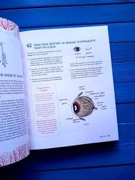 Может ли жираф облизать свои уши? или книги для маленьких "почемучек" Может ли жираф облизать свои уши? или книги для маленьких "почемучек"