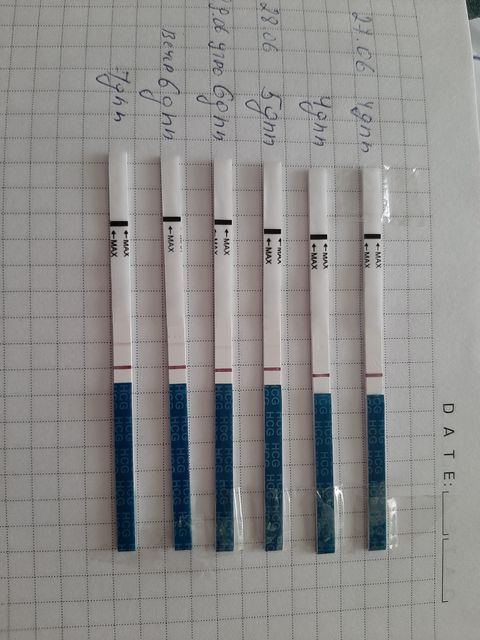 8 день форум. Тест на 4 ДПП пятидневок. 6 ДПП пятидневок тест. Тест на беременность 4 дня после подсадки. Тест на беременность на 6 ДПП пятидневок.