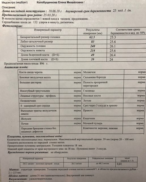 Заключение: Низкое прикрепление плаценты! Заключение: Низкое прикрепление плаценты!