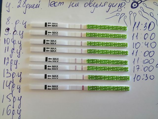 Тест на овуляцию Тест на овуляцию