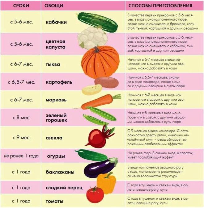 таблица овощей для прикорма по месяцам