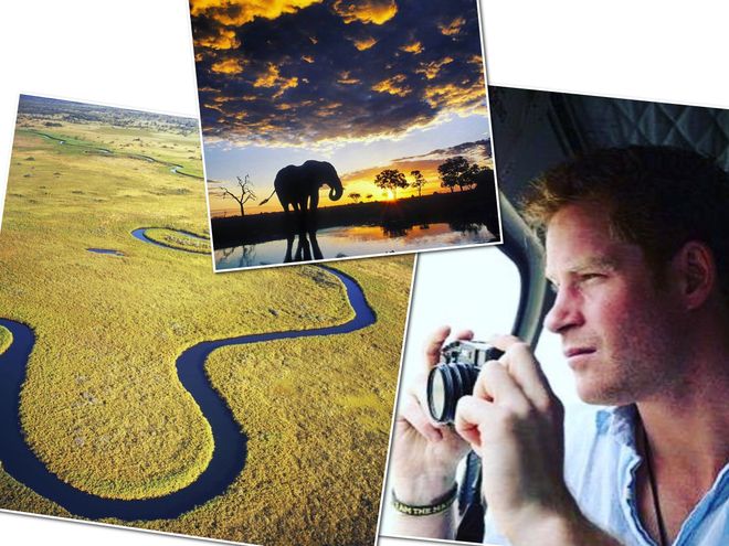 Instagram @botswana_tourism