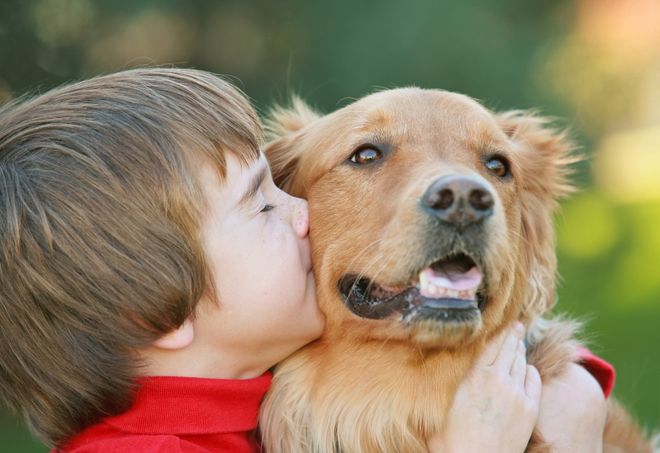 Ученые: собаки влияют на умение детей вести себя более осмотрительно