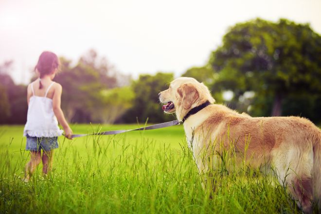 Ученые: собаки влияют на умение детей вести себя более осмотрительно